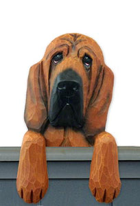 Bloodhound Door Topper