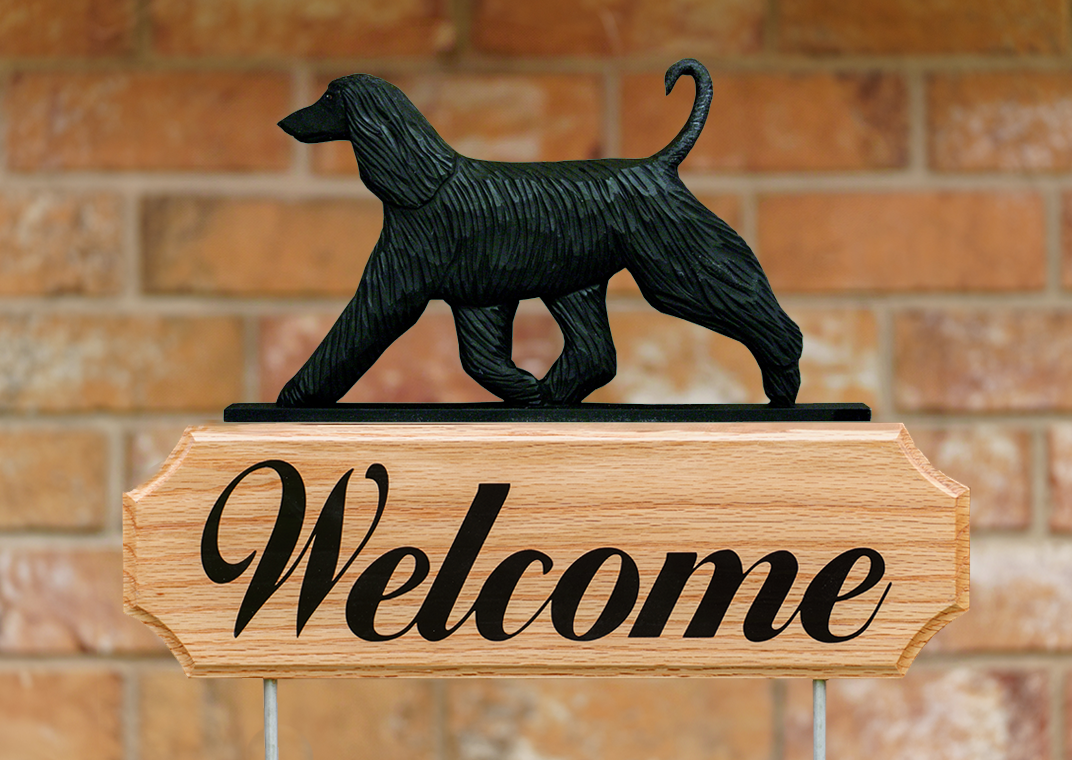 Afghan Hound DIG Welcome Stake