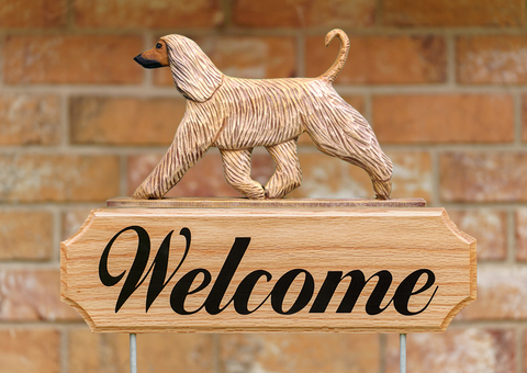 Afghan Hound DIG Welcome Stake