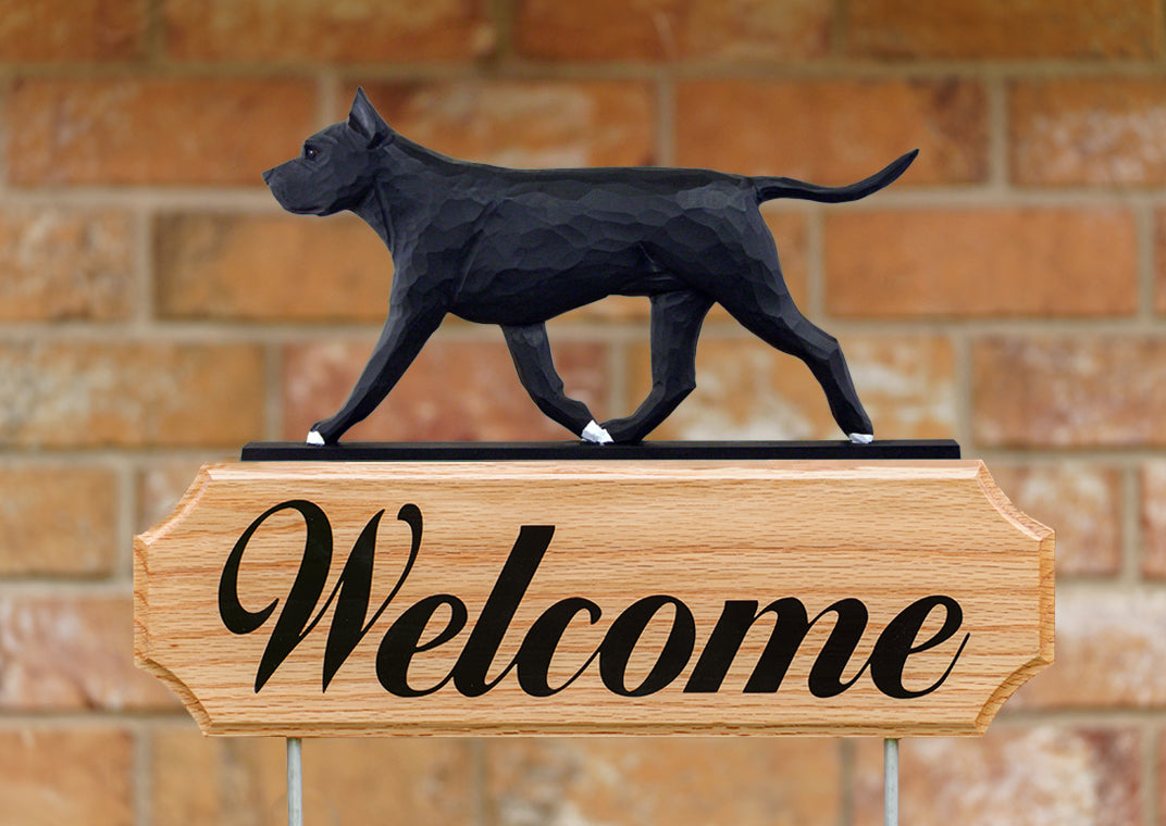 American Staffordshire Terrier DIG Welcome Stake