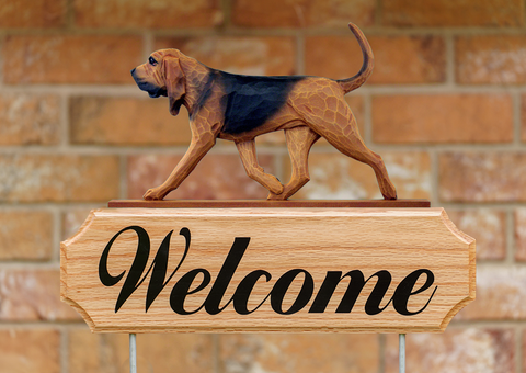 Bloodhound DIG Welcome Stake