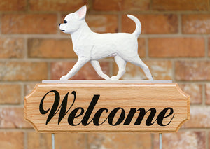 Chihuahua DIG Welcome Stake