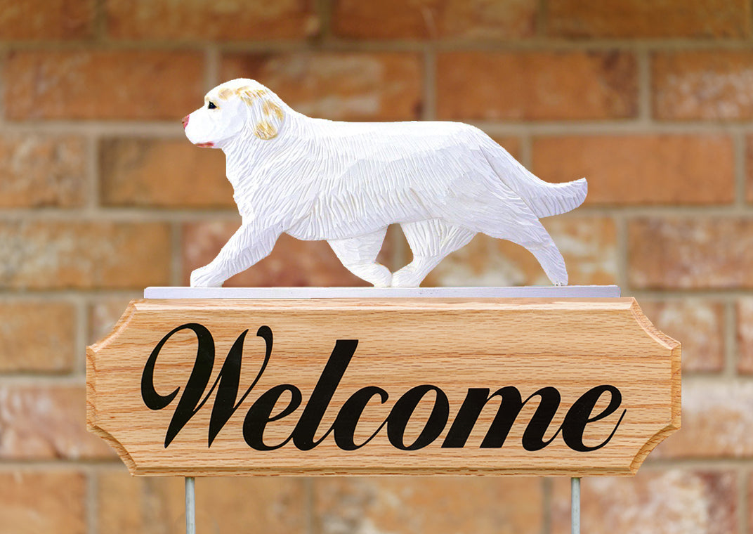 Clumber Spaniel DIG Welcome Stake