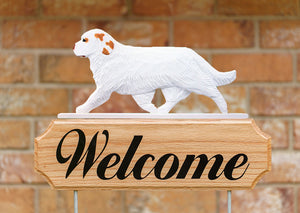 Clumber Spaniel DIG Welcome Stake