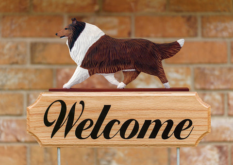 Collie DIG Welcome Stake