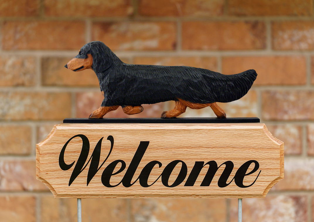 Dachshund (longhaired) DIG Welcome Stake