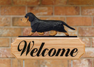 Dachshund (wirehaired) DIG Welcome Stake