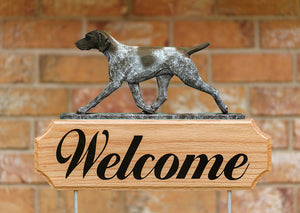 German Shorthaired Pointer DIG Welcome Stake