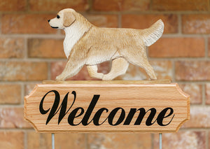 Golden Retriever DIG Welcome Stake