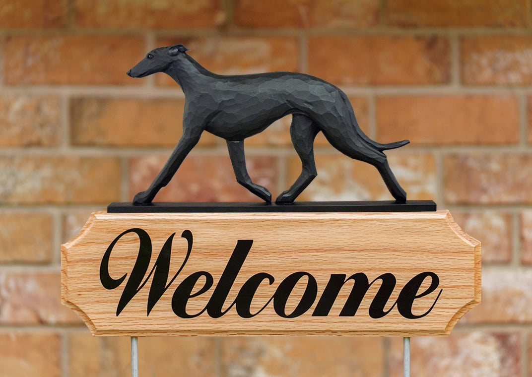 Greyhound DIG Welcome Stake