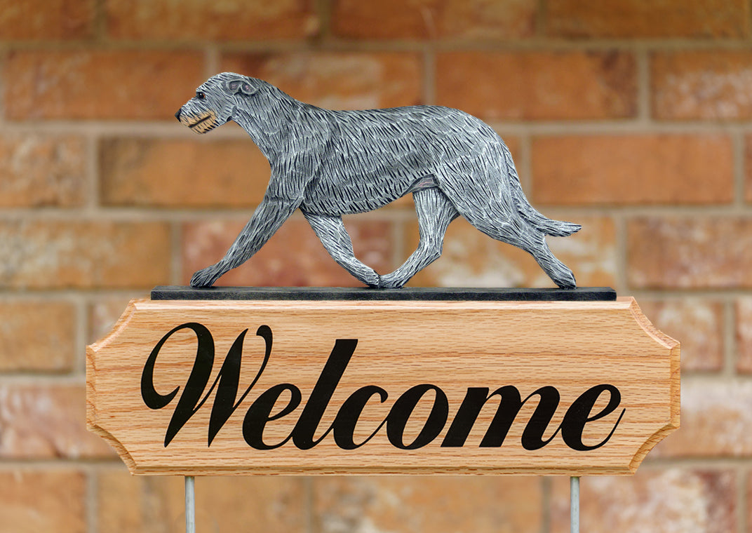 Irish Wolfhound DIG Welcome Stake