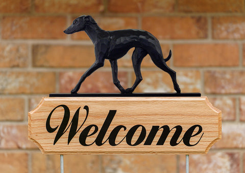 Italian Greyhound DIG Welcome Stake