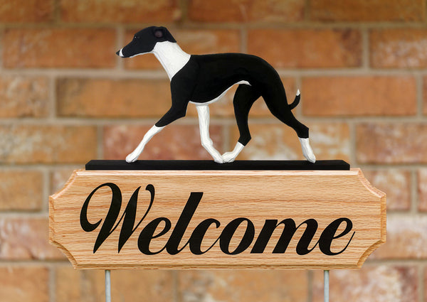 Italian Greyhound DIG Welcome Stake