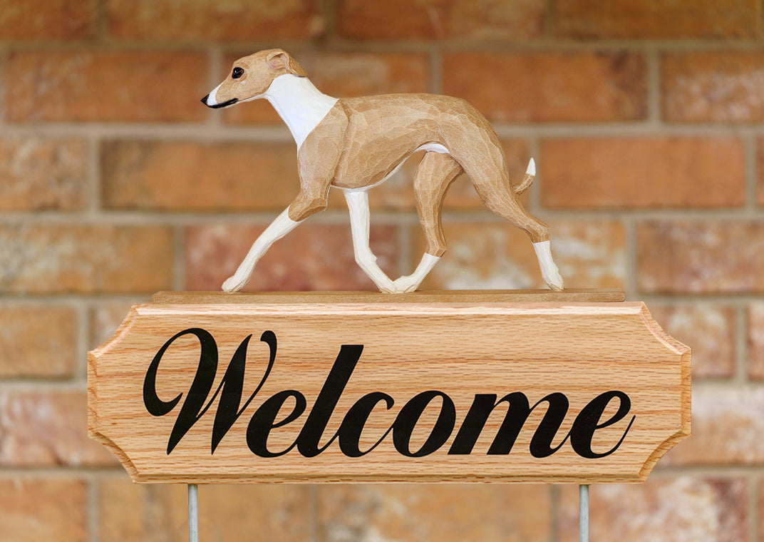 Italian Greyhound DIG Welcome Stake