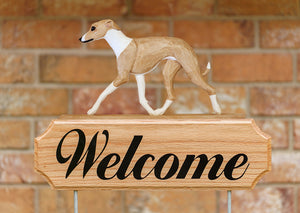 Italian Greyhound DIG Welcome Stake