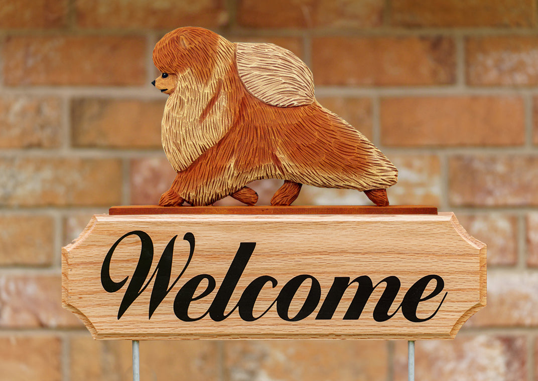 Pomeranian DIG Welcome Stake