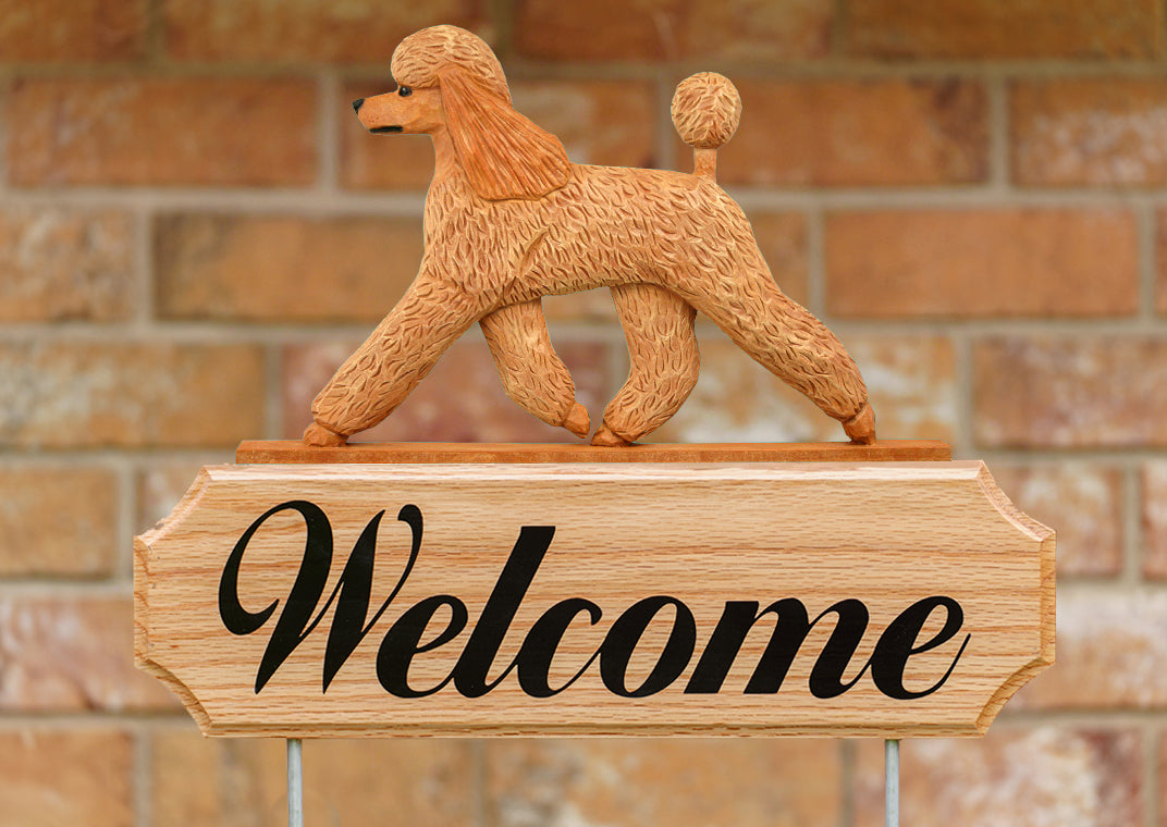 Poodle DIG Welcome Stake