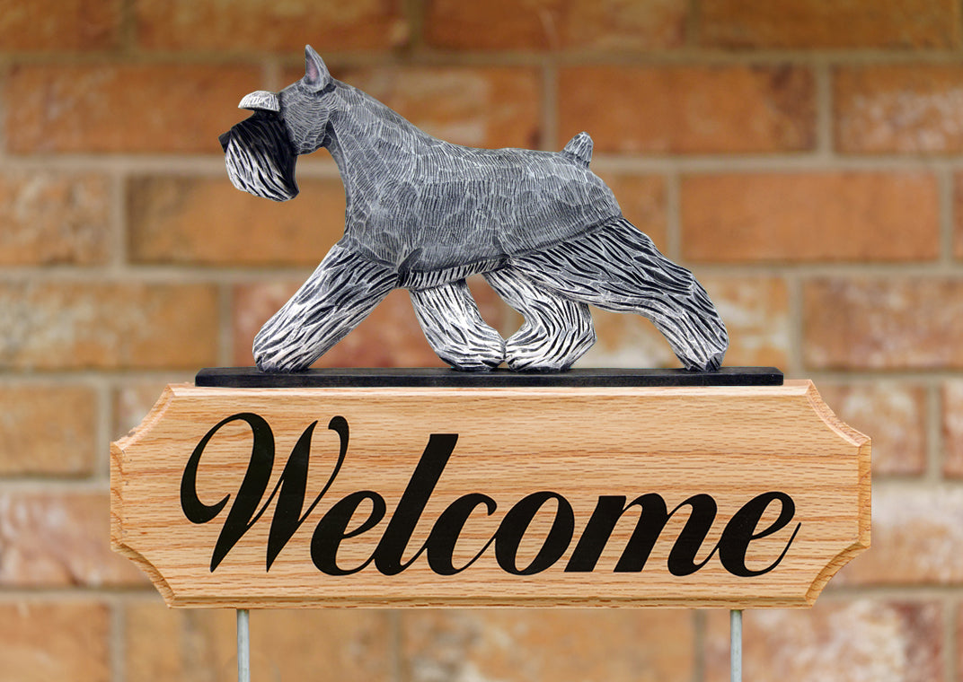 Schnauzer (Miniature) DIG Welcome Stake