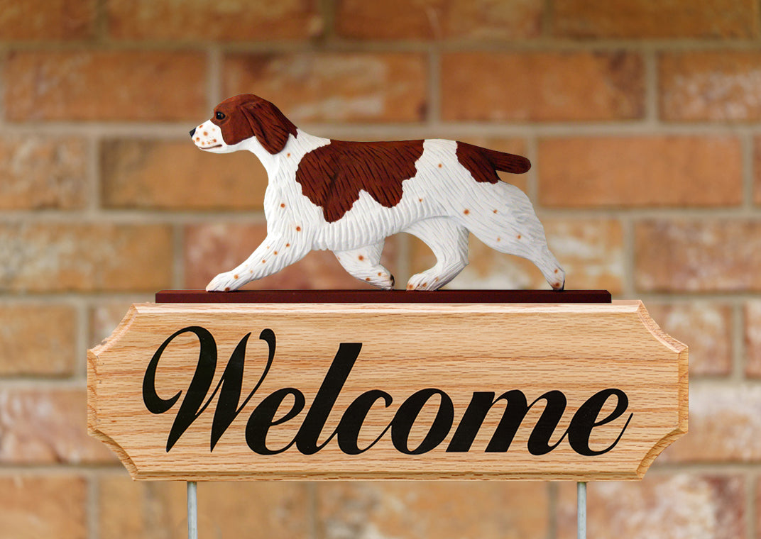 Welsh Springer Spaniel DIG Welcome Stake