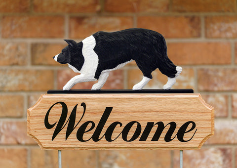 Border Collie DIG Welcome Stake