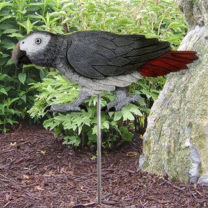 African Grey Parrot (Timneh) Garden Stake