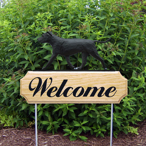 American Staffordshire Terrier (natural) DIG Welcome Stake
