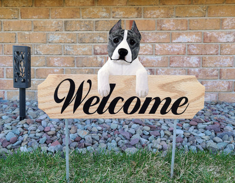American Staffordshire Terrier Topper Welcome Stake