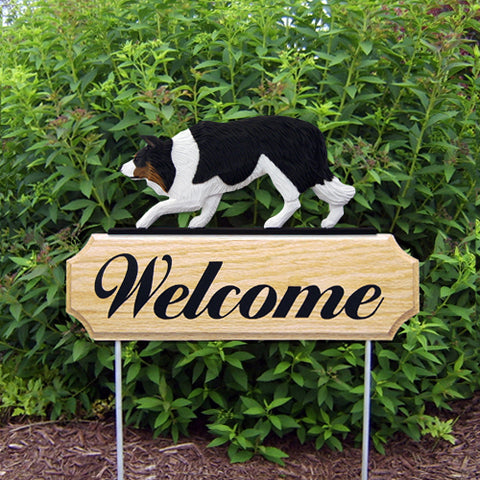 Border Collie DIG Welcome Stake