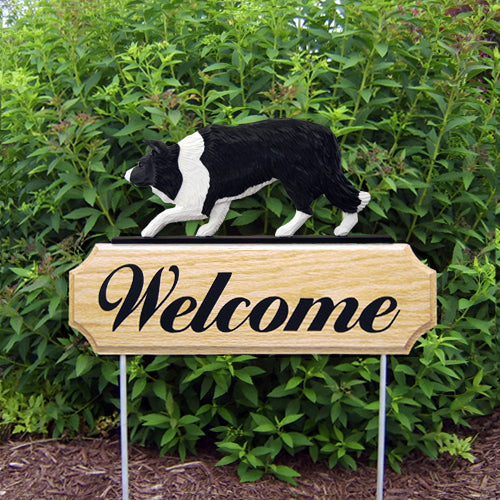 Border Collie DIG Welcome Stake
