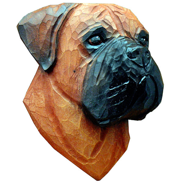 Bullmastiff Small Head Study