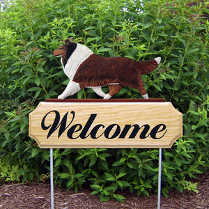 Collie DIG Welcome Stake