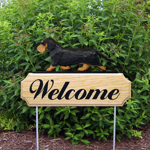 Dachshund (wirehaired) DIG Welcome Stake