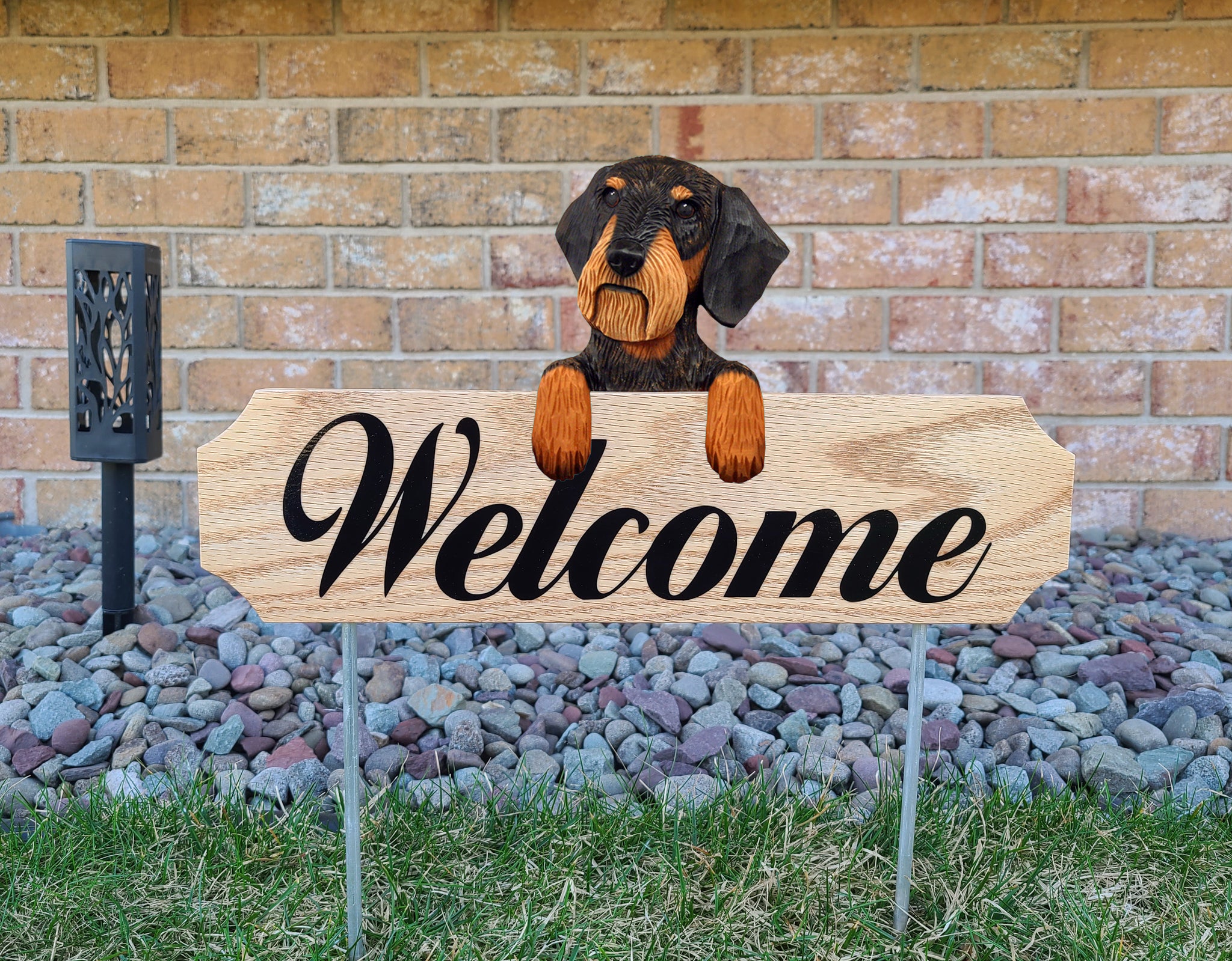 Dachshund (Wirehaired) Topper Welcome Stake