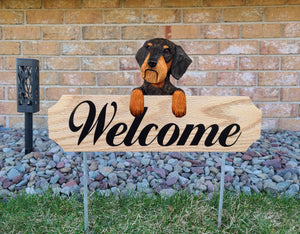 Dachshund (Wirehaired) Topper Welcome Stake