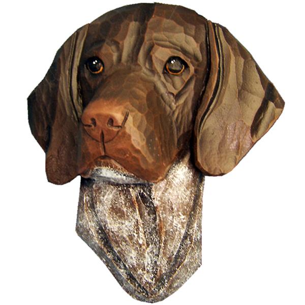 German Shorthaired Pointer Small Head Study