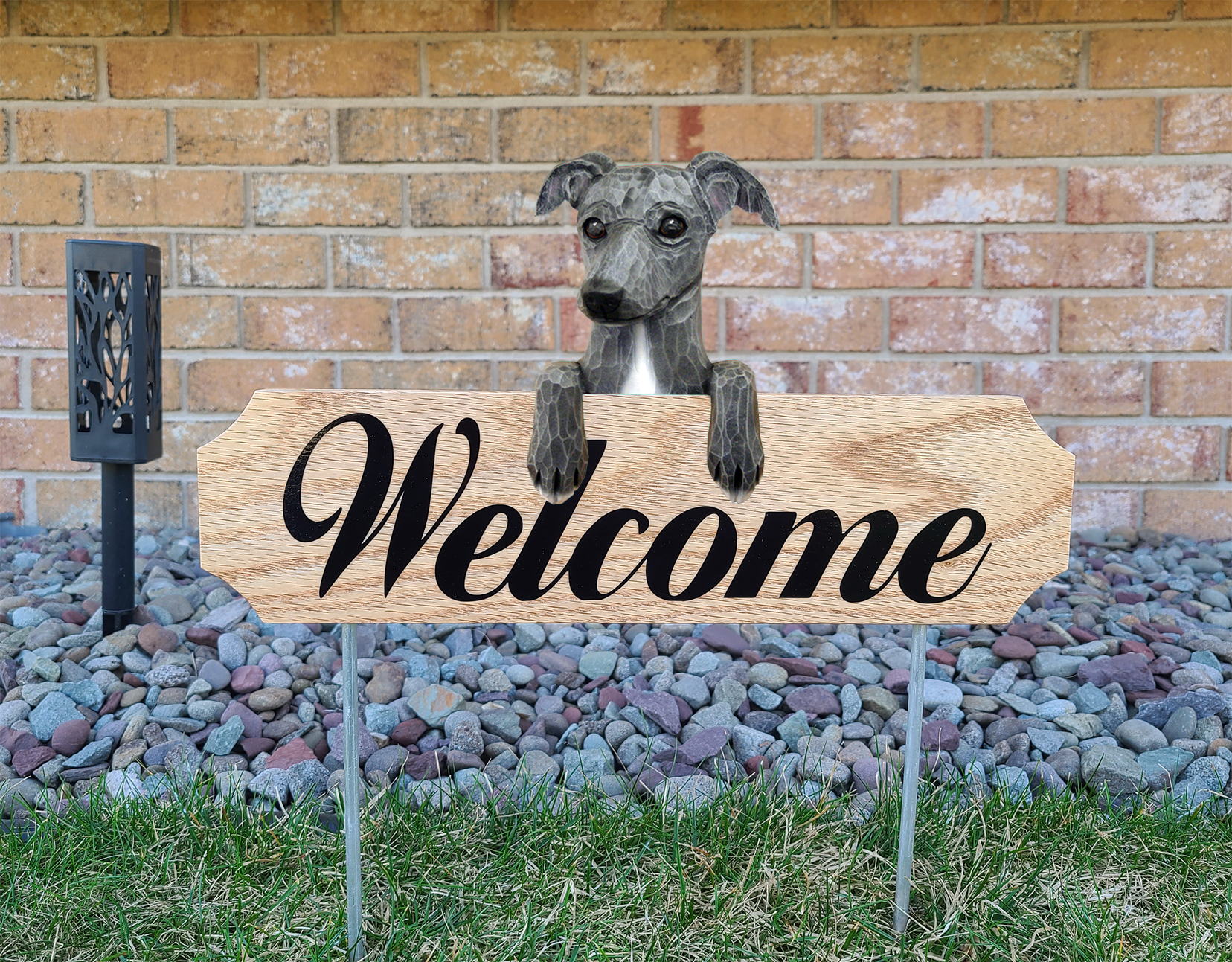 Italian Greyhound Topper Welcome Stake