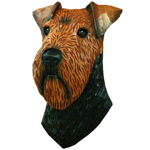Welsh Terrier Small Head Study