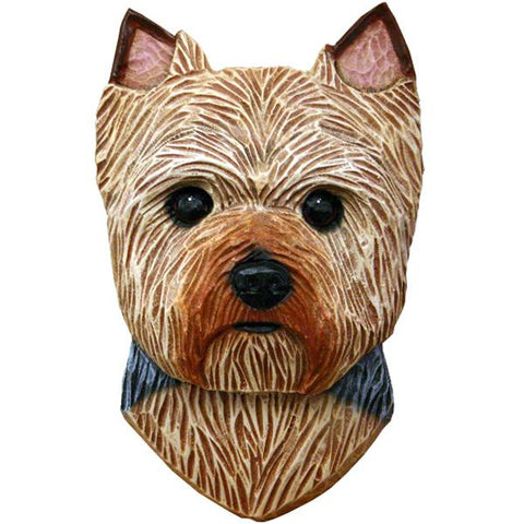 Yorkshire Terrier (Puppy Clip) Small Head Study