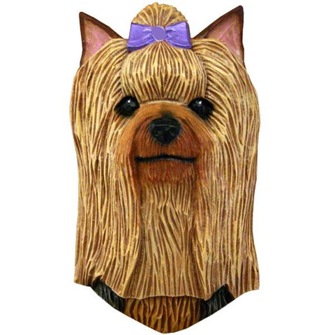 Yorkshire Terrier Small Head Study