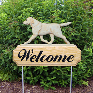 Labrador Retriever DIG Welcome Stake
